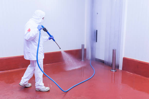 Best Building Exterior Pressure Washing in Gloversville, NY