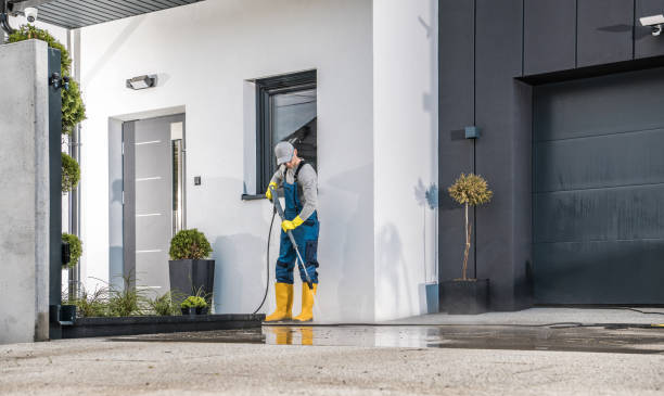 Best Soft Washing for Delicate Surfaces in Gloversville, NY